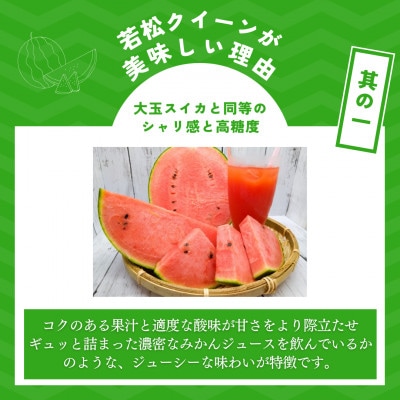 【優等品】若松クイーン約10kg (3玉から4玉入り)【2025年7～8月発送】