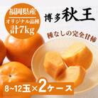 【2024年10月下旬より順次発送】【優等品】 博多秋王 (8玉～12玉入り)2箱　計約7.0kg