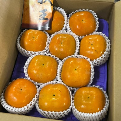 【2024年10月下旬より順次発送】【優等品】 博多秋王 (8玉～12玉入り)2箱　計約7.0kg