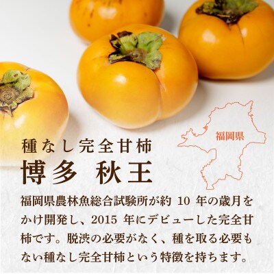 【優等品】 博多秋王 (8玉～12玉入り)2箱　計約7.0kg【2026年10月下旬より順次発送】