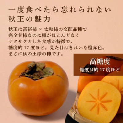【優等品】 博多秋王 (8玉～12玉入り)2箱　計約7.0kg【2026年10月下旬より順次発送】