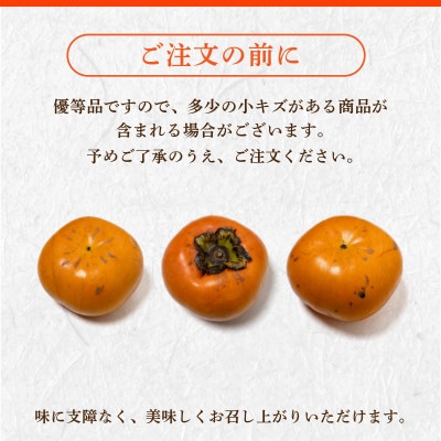 福岡県産 【優等品】博多秋王 約1.75kg(6玉入り)【2026年10月下旬より順次発送】