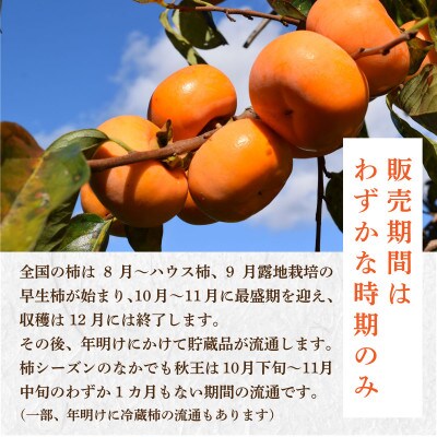 【優等品】博多秋王 (8玉～12玉入り) ×2箱 計約7.0kg【2025年11月上旬より順次発送】