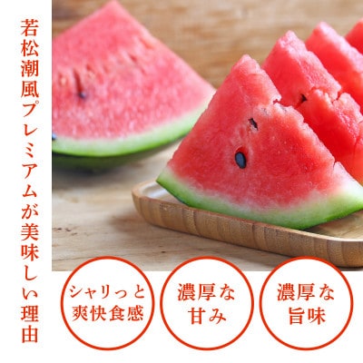 福岡県北九州市若松産【優等品】潮風プレミアム西瓜約7kg (1玉入り)【2026年7月下旬より発送】