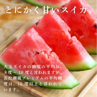福岡県北九州市若松産【優等品】潮風プレミアム西瓜約7kg (1玉入り)【2026年7月下旬より発送】