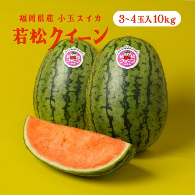 【優等品】若松クイーン約10kg (3玉から4玉入り)【2026年7月上旬より発送】