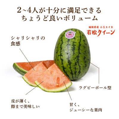 【優等品】若松クイーン約10kg (3玉から4玉入り)【2026年7月上旬より発送】