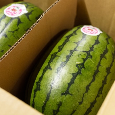 【優等品】若松クイーン約10kg (3玉から4玉入り)【2026年7月上旬より発送】
