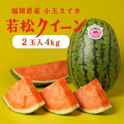 【優等品】若松クイーン約4kg(約2kg 2玉入り)【2026年7月上旬より発送】
