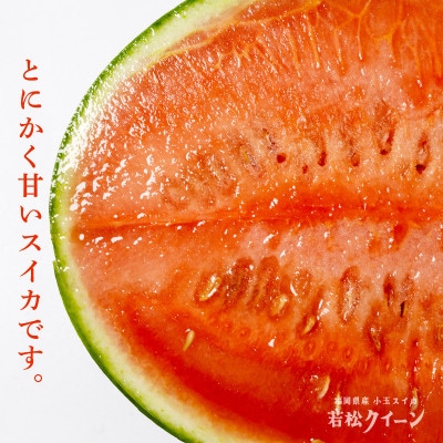 【優等品】若松クイーン約4kg(約2kg 2玉入り)【2026年7月上旬より発送】