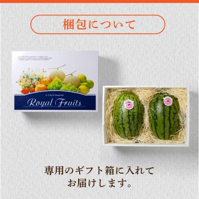 【優等品】若松クイーン約4kg(約2kg 2玉入り)【2026年7月上旬より発送】