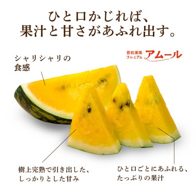 【2027年7月下旬より順次発送】福岡県北九州市若松産【優等品】若松潮風プレミアムアムール 約7kg