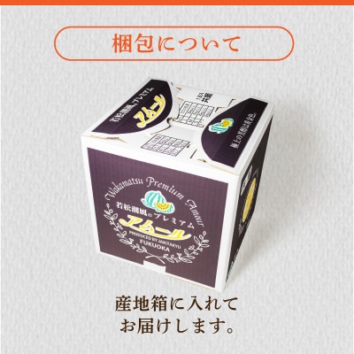 【2027年7月下旬より順次発送】福岡県北九州市若松産【優等品】若松潮風プレミアムアムール 約7kg