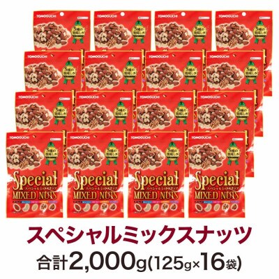 スペシャルミックスナッツ(125g×16袋)(北九州市)