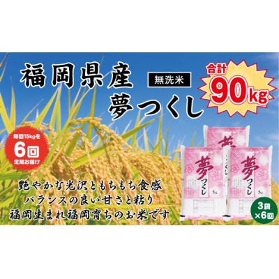 【毎月定期便】《無洗米》【食味鑑定士厳選】福岡県産 夢つくし15kg(5kg×3)(北九州市)全6回