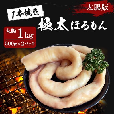 1本焼き　極太ほるもん　太腸版　500g×2パック(1kg)