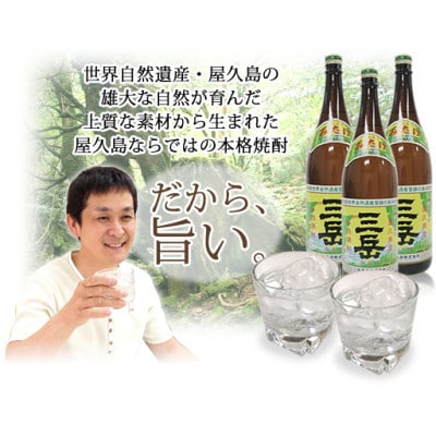 屋久島産　焼酎・紅茶詰め合わせ　愛子900ml・水ノ森720ml・三岳900ml・森の紅茶