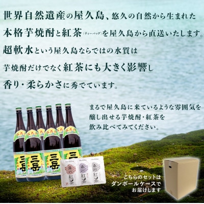 三岳1.8L ・6本 &紅茶の詰め合わせ(3種類)