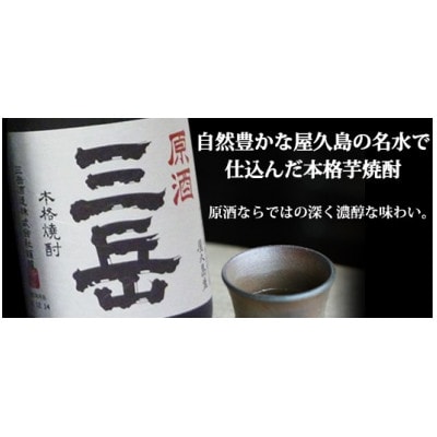 原酒三岳720ml 12本・森の紅茶(3種類) 詰め合わせセット