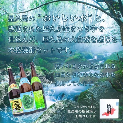 屋久島の芋焼酎セット(三岳・屋久の島・水ノ森)1800ml×3本