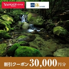 【鹿児島県屋久島町】一休.com・Yahoo!トラベル割引クーポン(30,000円分)