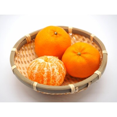 屋久島産　冷凍ぽんかんジュース200g　10パック