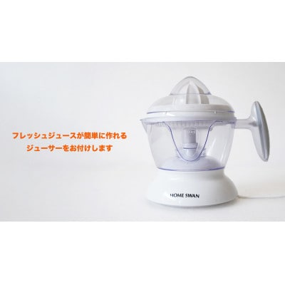 【屋久島産】相良パーティ『ハローたんかん』【M,L,2Lサイズ10kg】