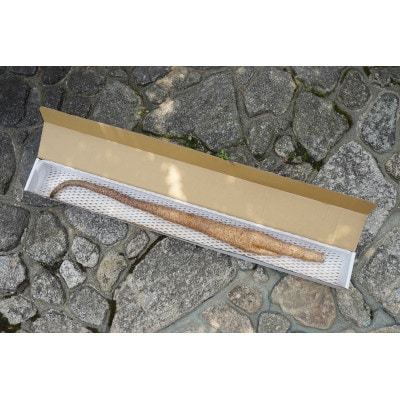 【相良パーティ】　屋久島産自然薯1kg