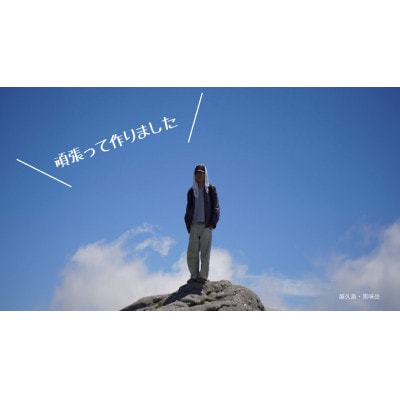 屋久島　完熟ぽんかん 5Kg