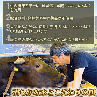 【屋久島牛】和牛ロースステーキ400g(屋久島町)