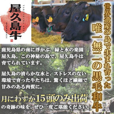 【屋久島牛】和牛モモブロック400g(屋久島町)
