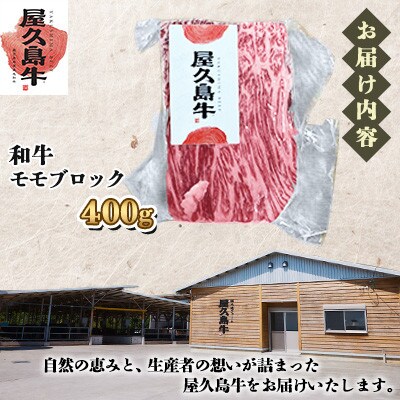 【屋久島牛】和牛モモブロック400g(屋久島町)