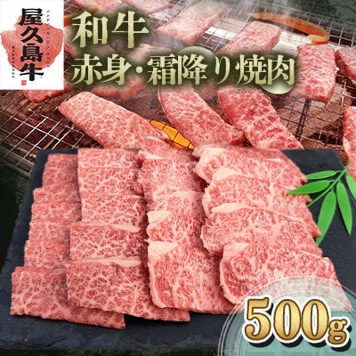 【屋久島牛】和牛赤身・霜降り焼肉500g(屋久島町)