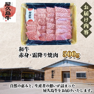 【屋久島牛】和牛赤身・霜降り焼肉500g(屋久島町)