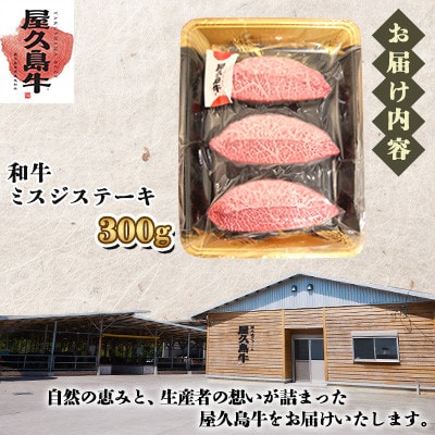 【屋久島牛】和牛ミスジステーキ300g(屋久島町)