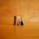 【屋久島の流木】小サイズ　タイプ2