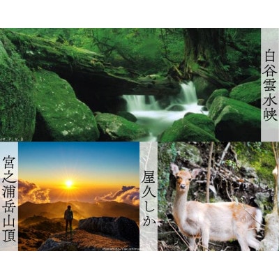 屋久島町に泊まるふるさと納税旅行クーポン【6,000円分】(屋久島町)