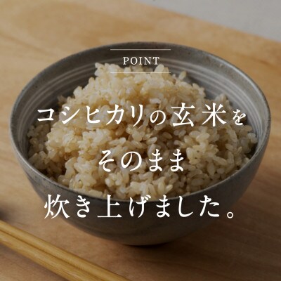 鳥取県日野町産玄米パックご飯 160g×36個 電子レンジで簡単調理