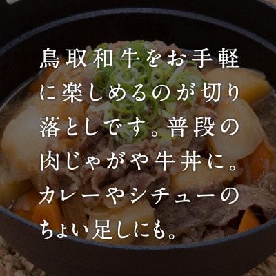 鳥取和牛切り落とし800g (400g×2P)【やまのおかげ屋】HN41(トレー)