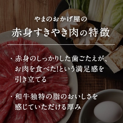 鳥取和牛赤身すき焼き・しゃぶしゃぶ600g【やまのおかげ屋】HN44(トレー)
