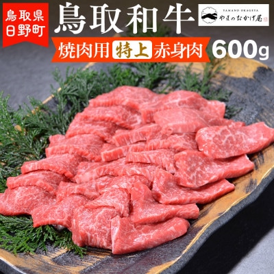 鳥取和牛 焼肉用特上赤身肉(600g)【やまのおかげ屋】HN024-002(トレー)