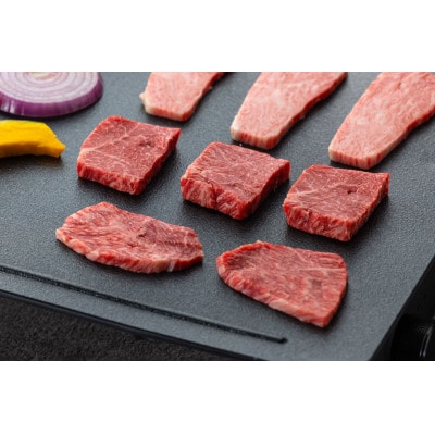 鳥取和牛 焼肉用赤身カルビ(450g)【やまのおかげ屋】HN013-003(トレー)