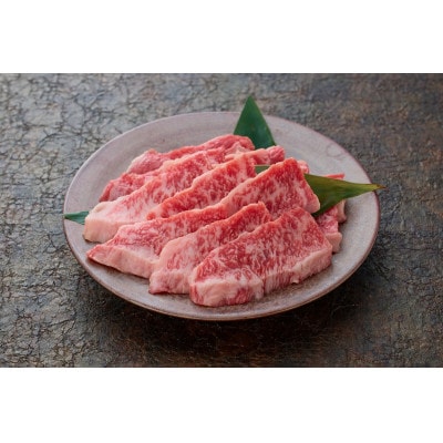 鳥取和牛 焼肉用カルビ(600g)【やまのおかげ屋】HN020-001(トレー)