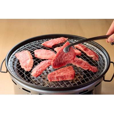 鳥取和牛 焼肉用カルビ(600g)【やまのおかげ屋】HN020-001(トレー)