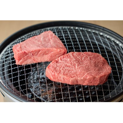 鳥取和牛 希少部位のステーキセット 大(8-11枚:1.2kg)【やまのおかげ屋】HN054-001