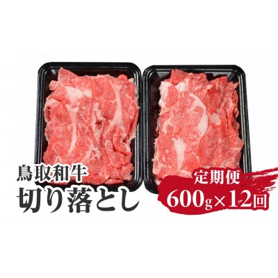 【毎月定期便】鳥取和牛 切り落とし 600g 合計7.2kg HN51 【やまのおかげ屋】全12回