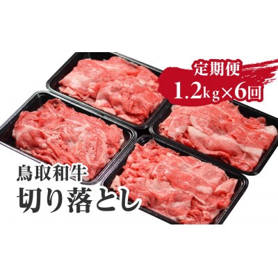 【毎月定期便】鳥取和牛切り落とし1.2kg 合計7.2kg【やまのおかげ屋】HN53(トレー)全6回