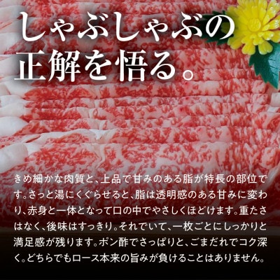 【黒田庄和牛】しゃぶしゃぶ用ロース 900g