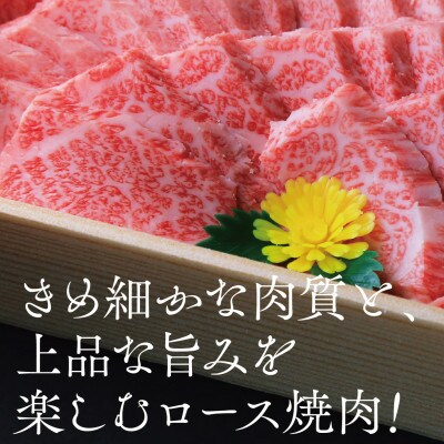 【黒田庄和牛】焼肉用ロース 500g