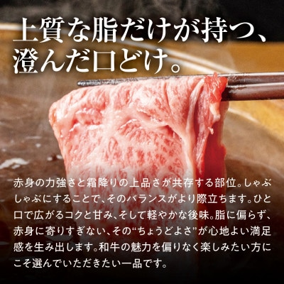 【黒田庄和牛】しゃぶしゃぶ用肩ロース 500g